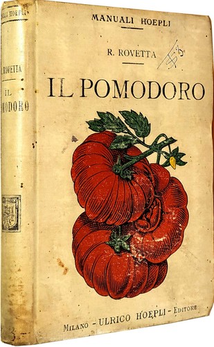 Pomodoro coltivazione - il,