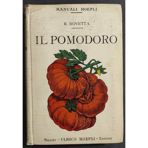 Pomodoro coltivazione - pomodoro,