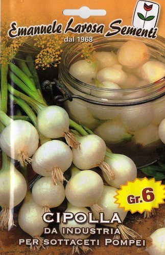 800 semi seeds cipolla - semi/seeds, da